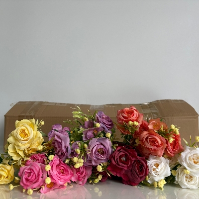 48 x Cottage Rose Bush 30cm