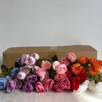 48 x Dainty Peony Bush 30cm