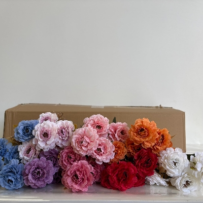 48 x Cottage Dahlia Bush 30cm