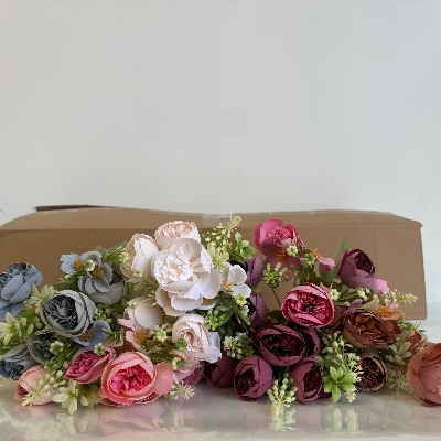 48 x Dainty Mixed Peony Bush 30cm
