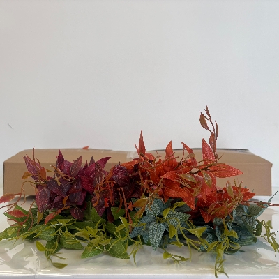 48 x Assorted Ruscus Bush 30cm