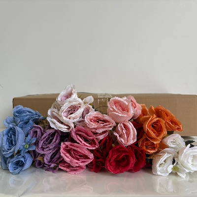 48 x Open Rose Bush 30cm
