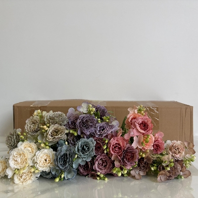 48 x Frilled Dahlia Bush 30cm