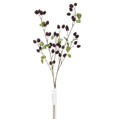 Dark Red Raspberry 91cm