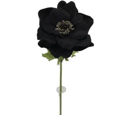 Black Velvet Anemone 42cm