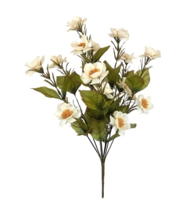 White Autumn Quince Bush 46cm