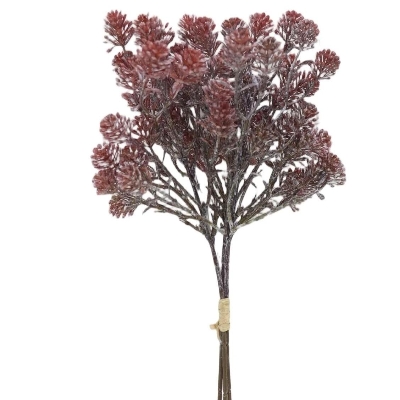 Brown Sedum Bundle 38cm