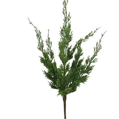 Cedar Spray 47cm