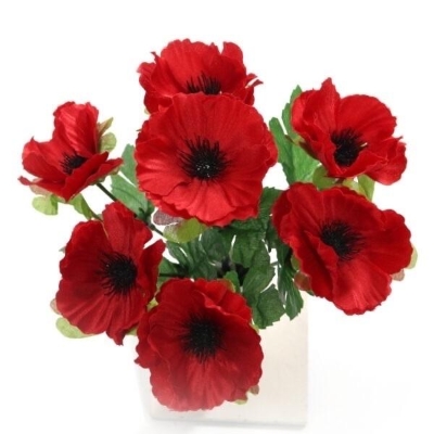 Red Anemone Bush 28cm