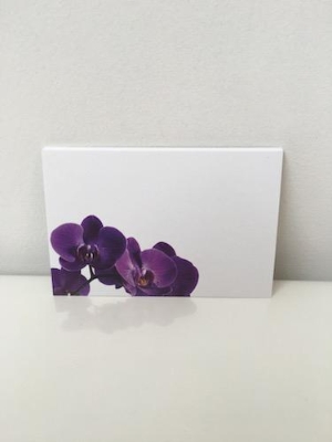 Florist Cards Purple Orchid