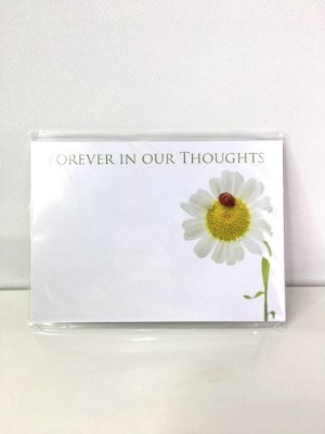 Florist Cards Forever In Our Thoughts Daisy x 6