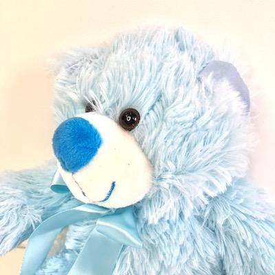 boy with teddy bear
