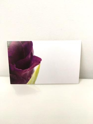Florist Cards Purple Gladioli