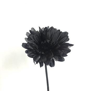 Black Gerbera 53cm