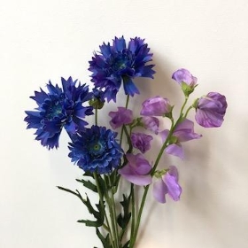 Blue And Lilac Flowers