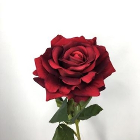 Valentine Roses