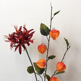 Red And Orange Flowers