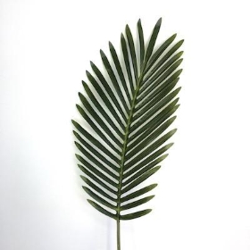 Artificial Foliage