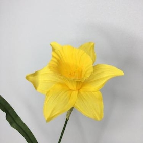 Daffodil