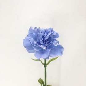 Carnation