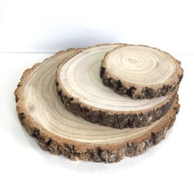 Wood Slices