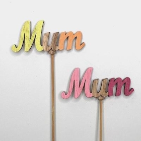 Mothers Day Picks