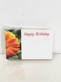 Small Worded Florist Cards