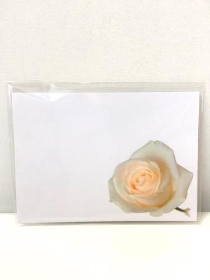 Large Florist Cards