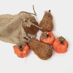 Pumpkins In Hessian Bag x 6