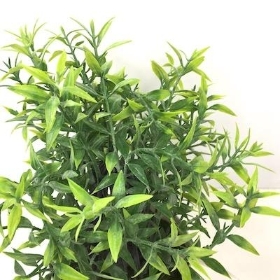 Green Frosted Tealeaf Planter 20cm