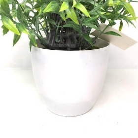 Green Frosted Tealeaf Planter 20cm