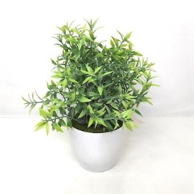 Green Frosted Tealeaf Planter 20cm