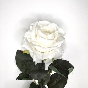 White Rose 84cm