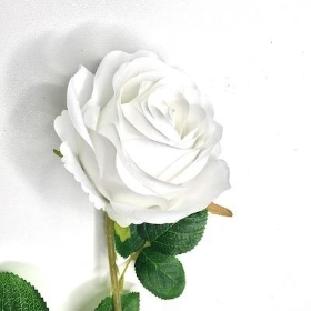 White Rose 63cm