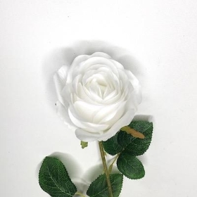 White Rose 63cm