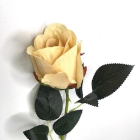 Nude Rose 52cm