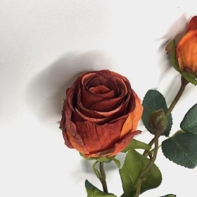 Russet Dried Rosebud 51cm