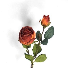 Russet Dried Rosebuds 51cm