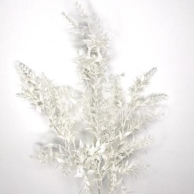 White Ruscus Spray 67cm