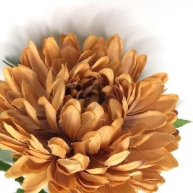Honey Brown Chrysanthemum Bloom 57cm