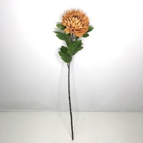 Honey Brown Chrysanthemum Bloom 57cm