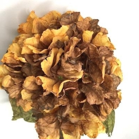 Honey Yellow Dried Hydrangea 51cm