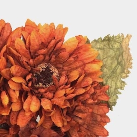 Burnt Orange Gerbera Bundle 25cm