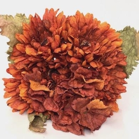 Burnt Orange Gerbera Bundle 25cm