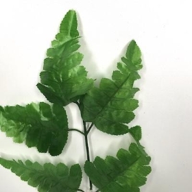 Leather Leaf 38cm x 12 stems 