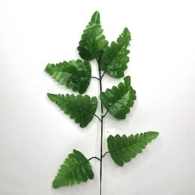 Leather Leaf 38cm x 12 stems 