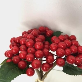 Red Berry Bundle 24cm