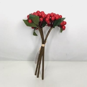 Red Berry Bundle 24cm