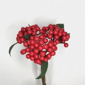 Red Berry Bundle 24cm