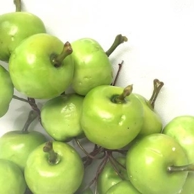 Green Apple Pick x 20